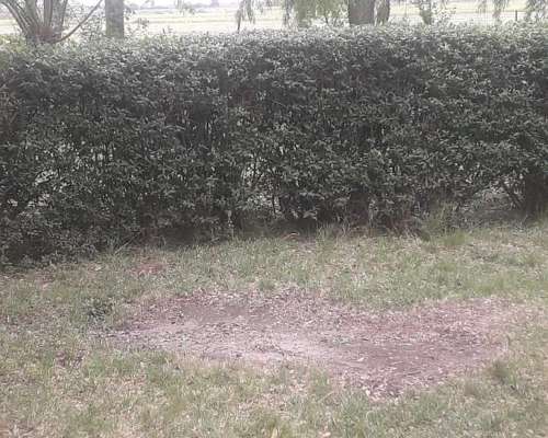 25 Hectáreas en Pedro Luro