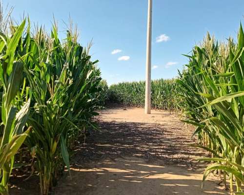 69 Ha en Venta en Monte Cristo