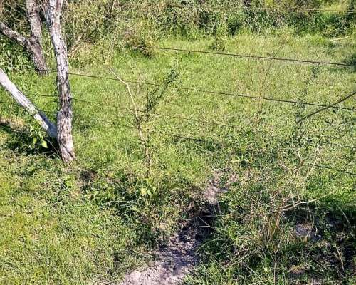 Vendo Campo de Monte