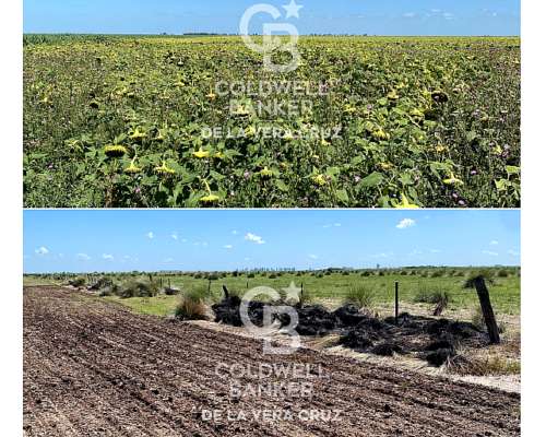 Piamonte, Santa FE, Campo Mixto