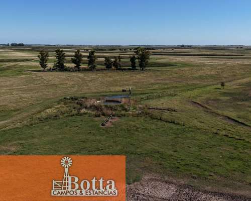 785has Mixtas en Venta en Carlos Casares