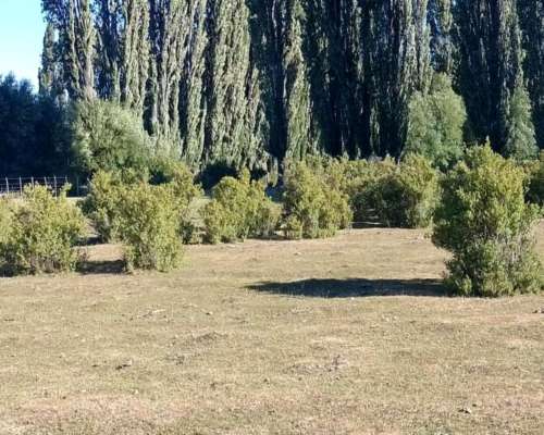 2.5 Ha Paraiso en Epuyen Chubut