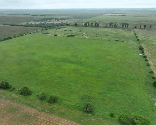 Santa Clara de Buena Vista, las Colonias, Santa FE - 179 Ha