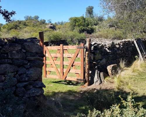 Campo de 453 Hectáreas en Villa de Soto, Córdoba.