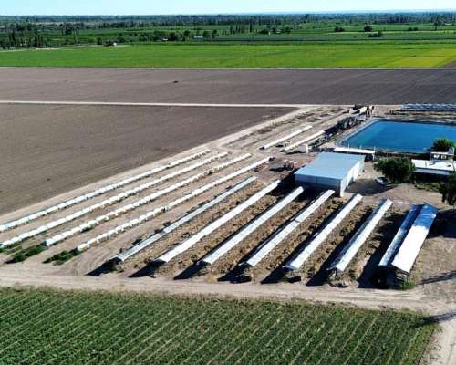 Finca de 49 Ha en Montecaseros