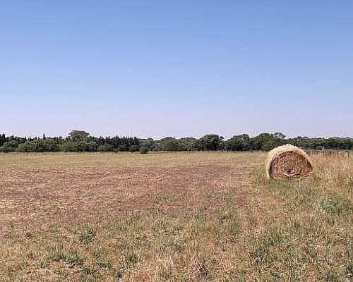 Vendo Predio de 9ha en Vedia