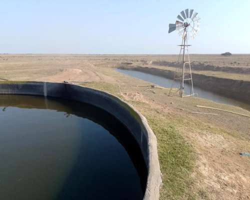 Venta Campo Agricola a Tranquera Cerrada (hacienda Bradford)