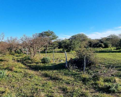 Vendo Campo Ganadero en San Jose de Feliciano