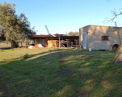 122 Ha Lucas Gonzalez. Superficie Agrícola