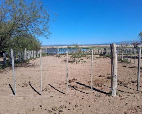 Campo Ganadero Pampas Blancas, en la Rioja, 11500 Has