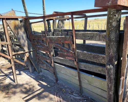 2.228 Has Arrendamiento Ganadero en Pje. San Salvador Corrie