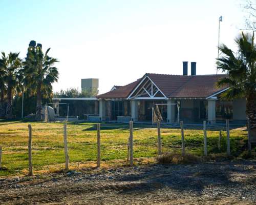 Lavalle- 85 HA- Mendoza
