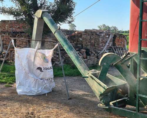 Modelodara Richiger Modelo CH73