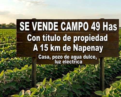 Campo en Venta 49 Has