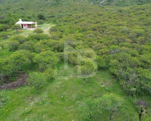 Terreno en Venta 1 Hectárea, Valle Buena Esperanza, Alta GRA