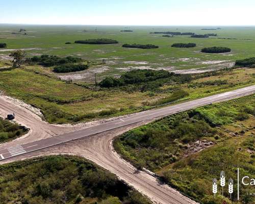 Venta Campo 4.273,7 Has para Siembra a 70 km al Este Tostado