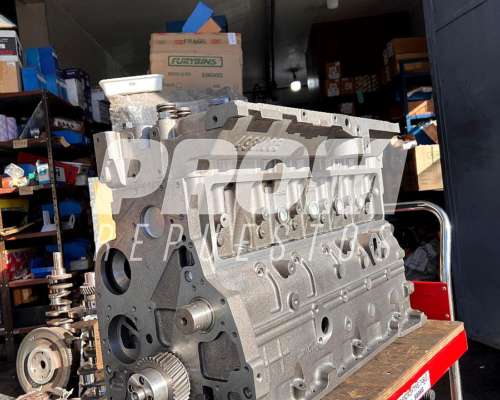 Motores Cummins 6 Cilindros Todos los Modelos