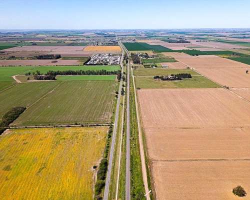 Campo 90 Has en Pavon, Santa FE 🌻🐄☘️