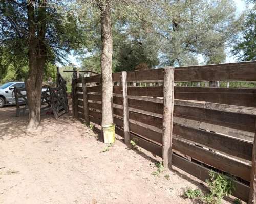 Venta 892 Hect. Campo Miraflores Chaco