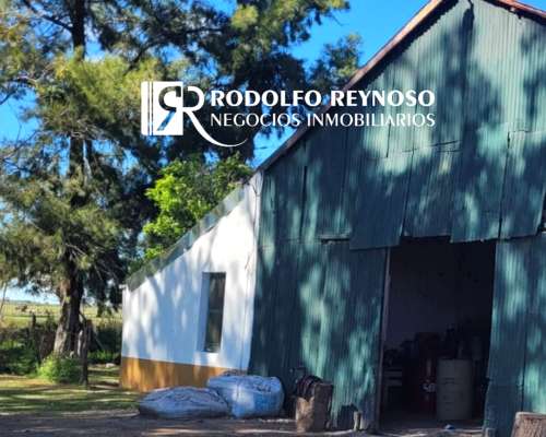 700 HA. en Gualeguaychú, Entre Ríos