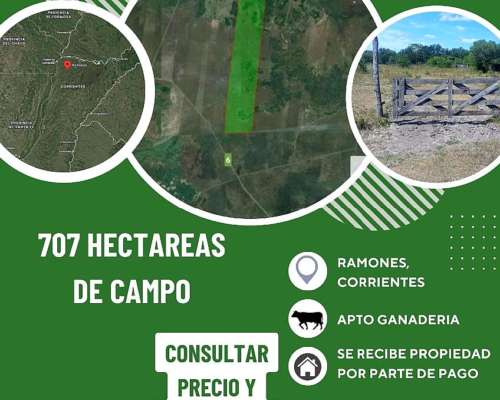 707 Has de Campo, Corrientes, Apto Ganaderia.