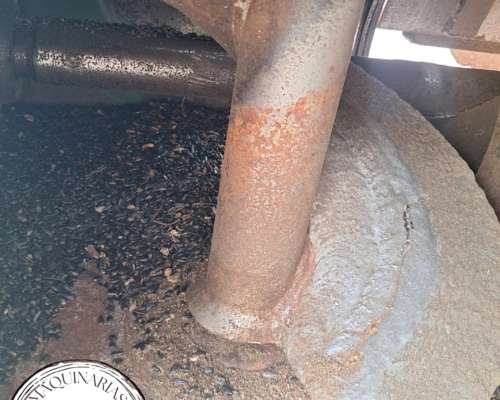 Autodescargable de 22 Toneladas con Balanza sin Tapa Fácil