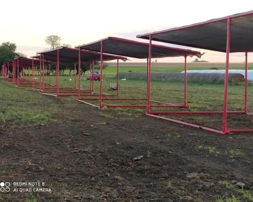 Sombras Móviles para Ganado