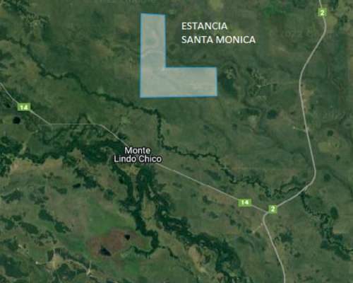 Campo 3180 Has en Pastoril- Formosa