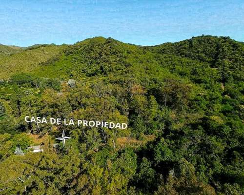 Casa de Campo con Arroyo y Vertiente: Ideal Emprendimiento