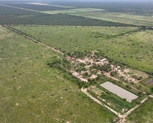 Santiago del Estero Gran Campo Ganadero 4.300 Has