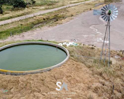 Vende: Campo de 298 Hectáreas. Ubicadas a 3 km al Suroeste D