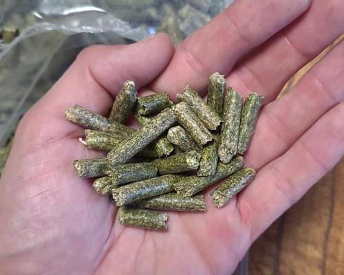 Pellet de Alfalfa en Bolsa - Lasna Insumos - MÍN 28 TN