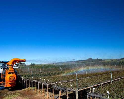 Cañon Pulverizador Jacto AJ 600 3p - Tambo, Feed Lot, Mosca