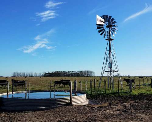 Loma Verde - 83 Ha - Buenos Aires