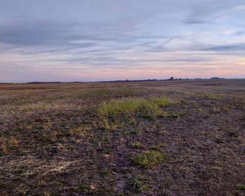 Campo en Bolivar 330 Has