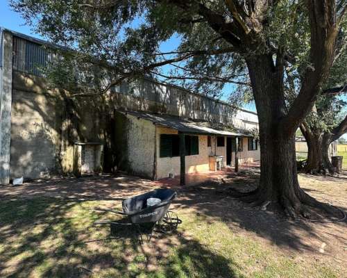 Campo Mixto de 250 Hectáreas