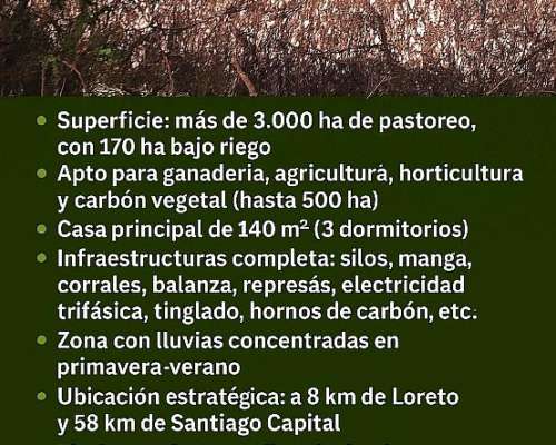 Campo en Loreto, Santiago del Estero