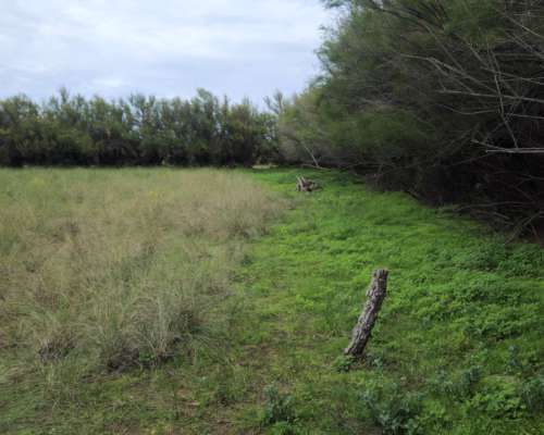440 Ha Argerich, Sobre Ruta