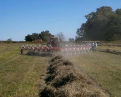 Rastrillo en V Yomel RV15 - 9,60 Mts