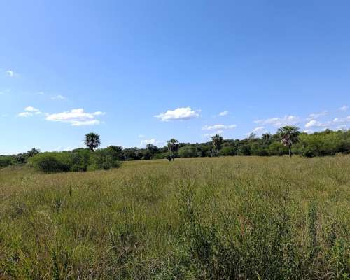 Alquiler de Campo en Mercedes Corrientes
