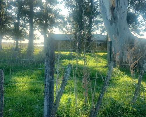 302 Has Ayacucho Pcia BS AS