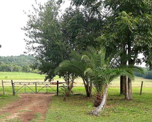 Dueño Vende Campo Misiones