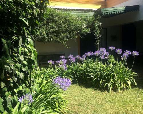 Campo 8 HA. la Plata, Mixto Recreativo.