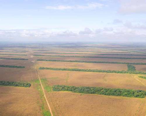 Pcia. de Salta - las Lajitas 8005 Has