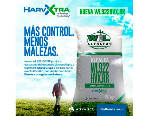 Alfalfa WL 922 HVX RR. Adaptación al Ambiente Argentino.