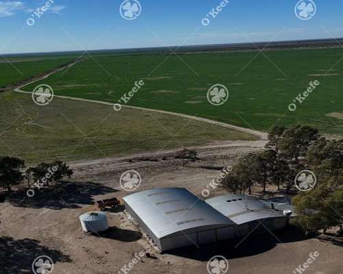 Campo en Venta 10000 Has en Patagones. Mixto
