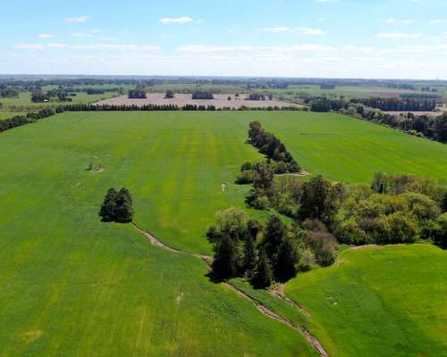 74 Has en Campana, BS. AS. - Agrícola/desarrollo - Venta