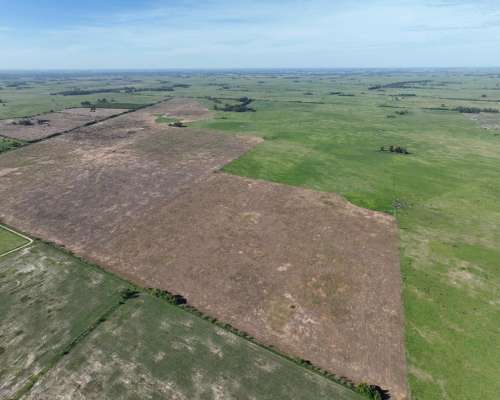 Mercedes, Buenos Aires - 701 Ha