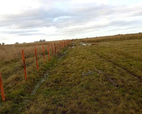 Campo en Venta en Rauch para Ganadería