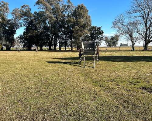 Monte Venta 370 Ha Agricolas a 1 Hora de Bsas